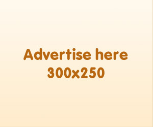 Ad 300x250