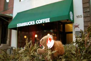 1-31-08_Nuts_Starbucks_165Newbury.jpg